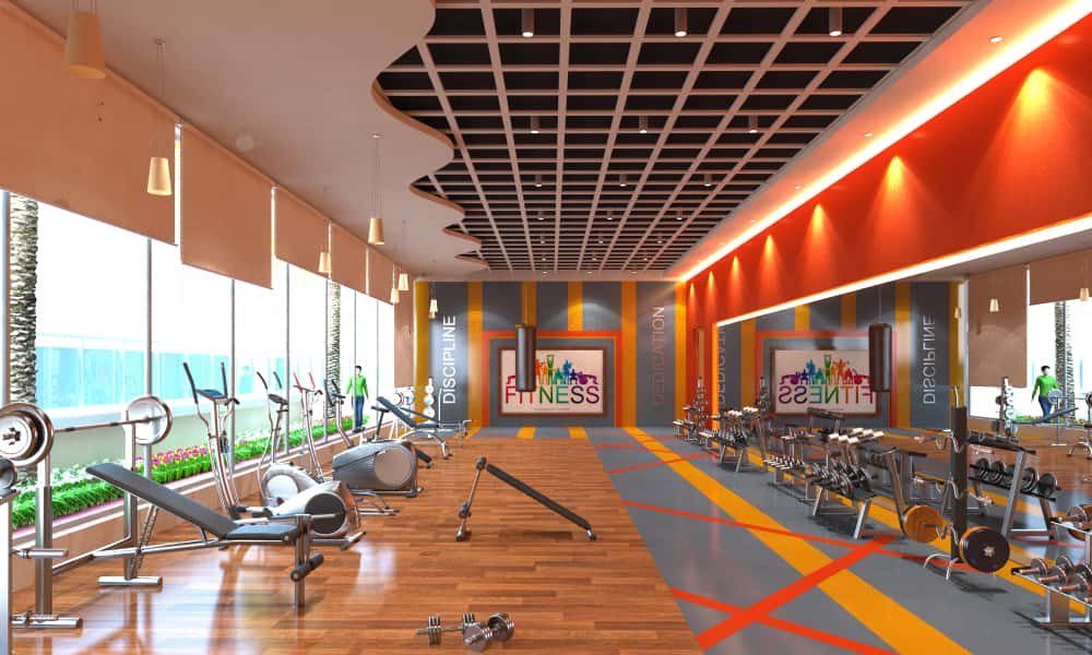Gymnasium
